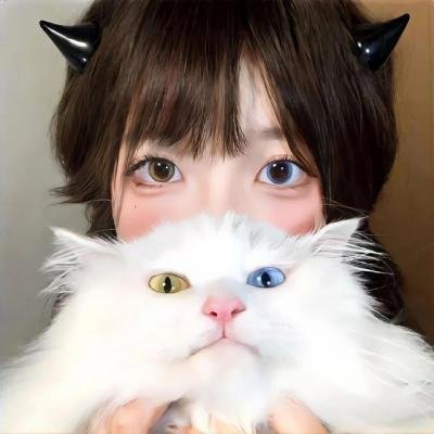 观鸟大年